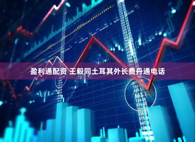 盈利通配资 王毅同土耳其外长费丹通电话