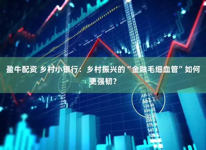 盈牛配资 乡村小银行：乡村振兴的“金融毛细血管”如何更强韧？